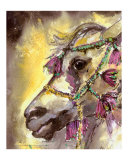 Arabian Horse Close Up