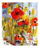 Poppies & Blue Sky