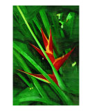 Tropical Heliconia Heliconia Painting Collection24