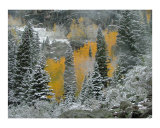 First snow