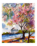 Spring In Washington
