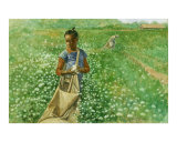 Girl in Cotton Field
