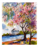 Spring In Washington