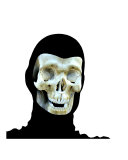 Scary Skull 4