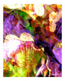 Rainbow Tide