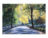 Autumn Walk Through Central Park  New York