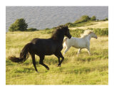 Running free