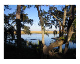 South Carolina Marsh 1