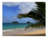 Kailua Dreams