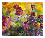 Pink Japanese Anemone - Wildflowers