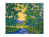 Spring Path
