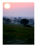 African Sunrise