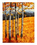 Autumn Aspens at Winter Park  Colorado