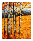Autumn Aspens at Winter Park  Colorado