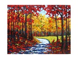 Path to Bard Falls II
