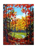 Autumn Path in Old Kinderhook III