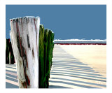 Abstract Beach Fence