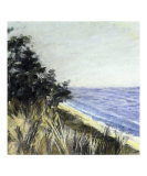 Lake Michigan Dune