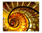 Abstract Nautilus Spiral Staircase