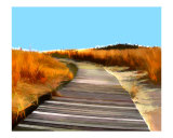 Abstract Beach Dune Boardwalk