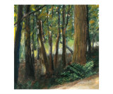 Livingston Trail - Saugatuck Dunes State Park  MI