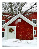 Shed of the Red Barn