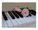 Petal Pink Keys