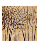 Moon Shadow Trees 2