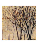 Moon Shadow Trees 3