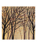 Moon Shadow Trees 1