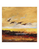 Canada Geese in Flight 3