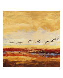 Canada Geese in Flight 2