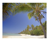 white sandy beach