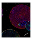 X-Ray Stars