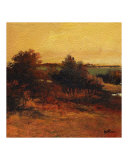 Morris River 1