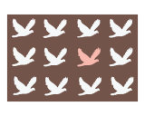 Pink Bird