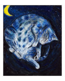 The Sleeping Cat