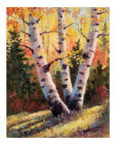 Aspen Glow