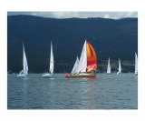 Flathead Lake Montana Regatta