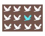 Blue Bird