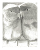 Black and White Love Birds Fine Art Drawing