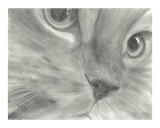 Pretty Kitty Cat Face Drawing in Black and White
