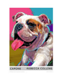 Capone the Bulldog