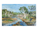River Todd