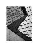 Building V