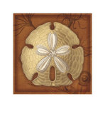 Sand Dollar