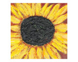 Yellow Sunflower