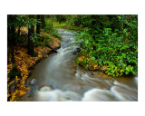 Creek in October Storm