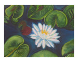 River Lily