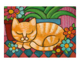 Sleepy Marmalade